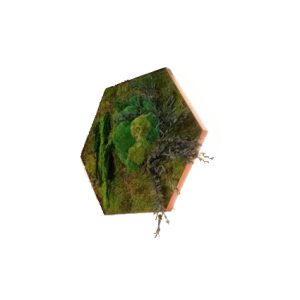 Planta decorativa disecada con cerco metálico de hierro para interior | Mobiliario hostelería | pérgolas para restaurantes | Sombrillas para bares| Plantas para Hostelería
